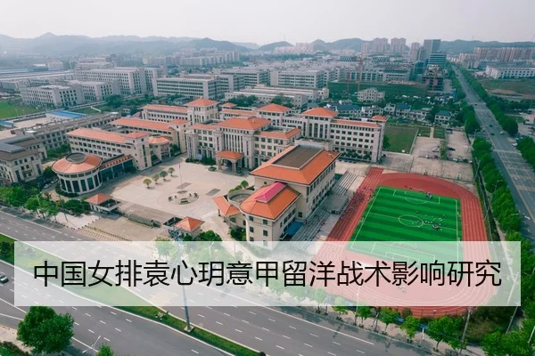 中国女排袁心玥意甲留洋战术影响研究