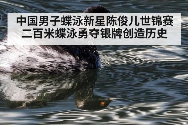 中国男子蝶泳新星陈俊儿世锦赛二百米蝶泳勇夺银牌创造历史